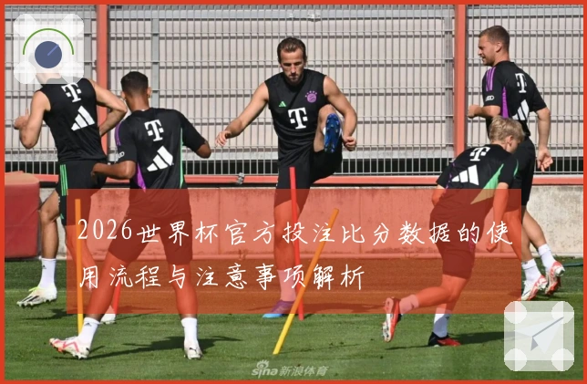2026世界杯官方投注比分数据的使用流程与注意事项解析
