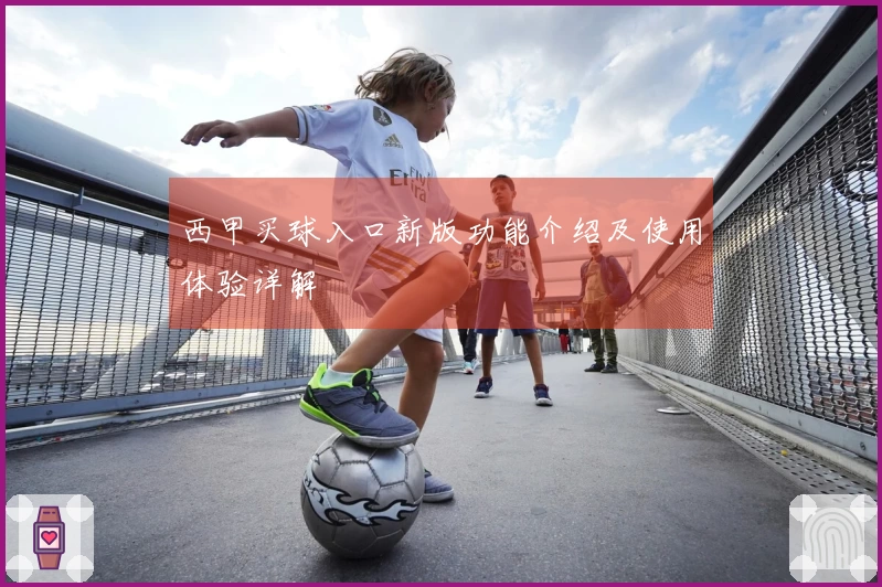 西甲买球入口新版功能介绍及使用体验详解