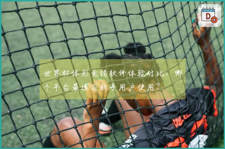 世界杯体彩竞猜软件体验对比，哪个平台最适合新手用户使用？