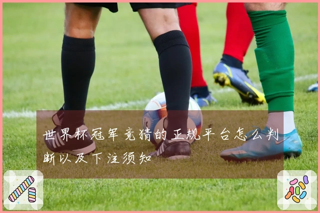 世界杯冠军竞猜的正规平台怎么判断以及下注须知