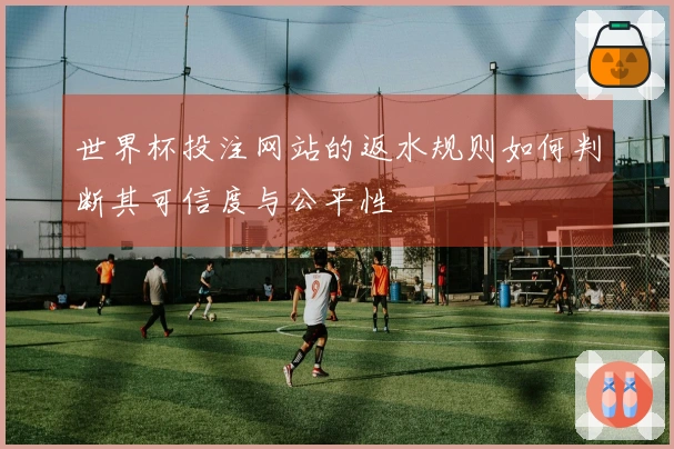 世界杯投注网站的返水规则如何判断其可信度与公平性