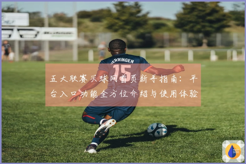五大联赛买球网首页新手指南：平台入口功能全方位介绍与使用体验