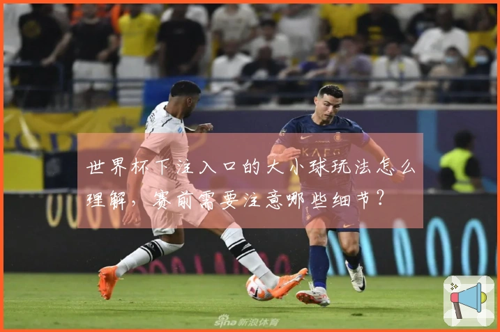 世界杯下注入口的大小球玩法怎么理解,赛前需要注意哪些细节?