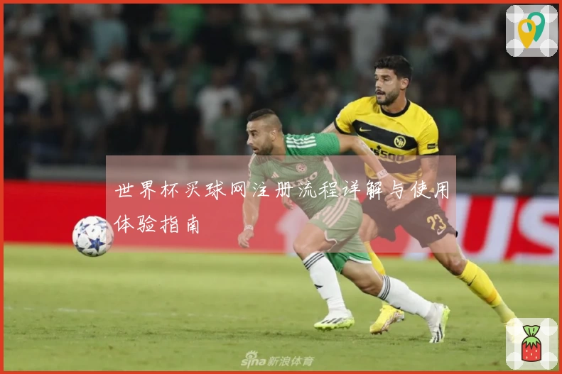 世界杯买球网注册流程详解与使用体验指南