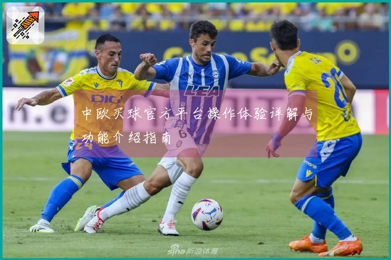 中欧买球官方平台操作体验详解与功能介绍指南